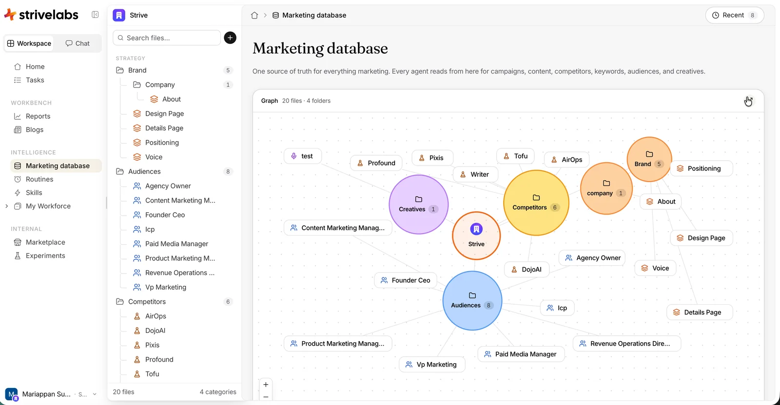 The live version: the platform sidebar and the files sidebar both open, the page title and description, a Recent button in the header, and the graph of soft folder circles and file pills in its own card.